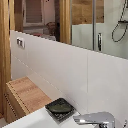 Apatramenty Promienista * Poznań