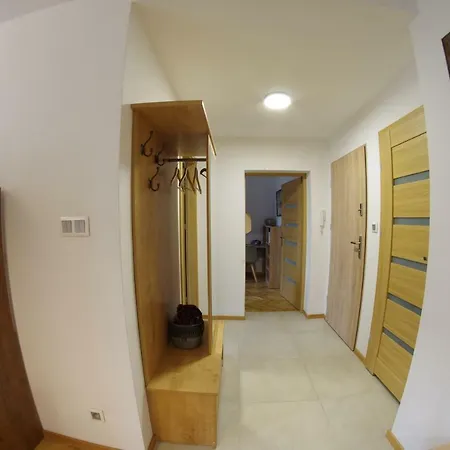 Apatramenty Promienista