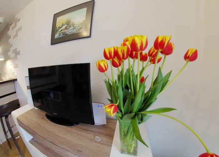 Lejlighed Apatramenty Promienista *